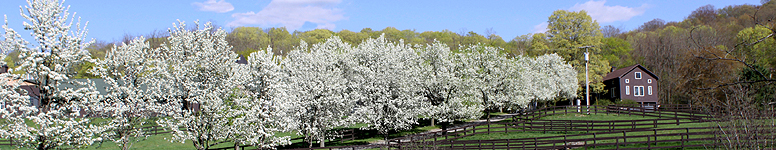 Kids Orange KidsThingsOrange.com